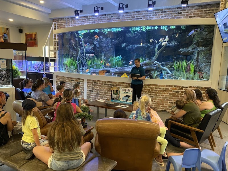 Fish Gallery Boutique | Aquarium Superstore - Photo 2