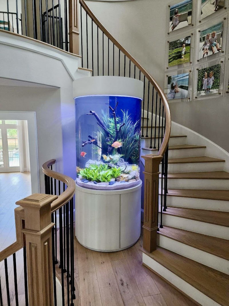 Fish Gallery Boutique | Aquarium Superstore - Photo 3