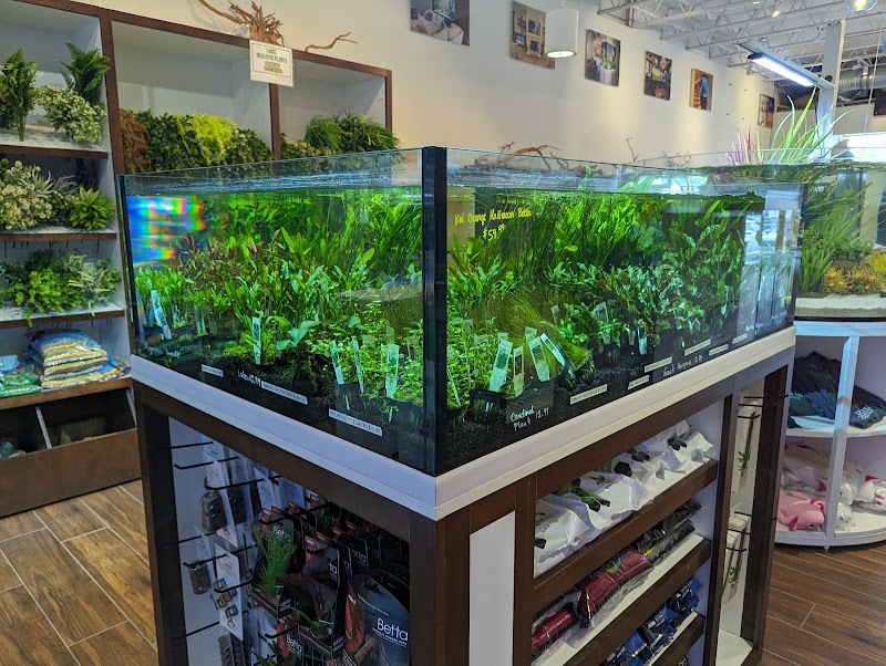 Fish Gallery Boutique | Aquarium Superstore - Photo 5