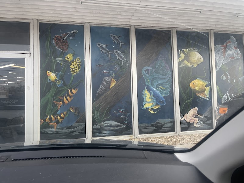 Texas Aquatics - Photo 1