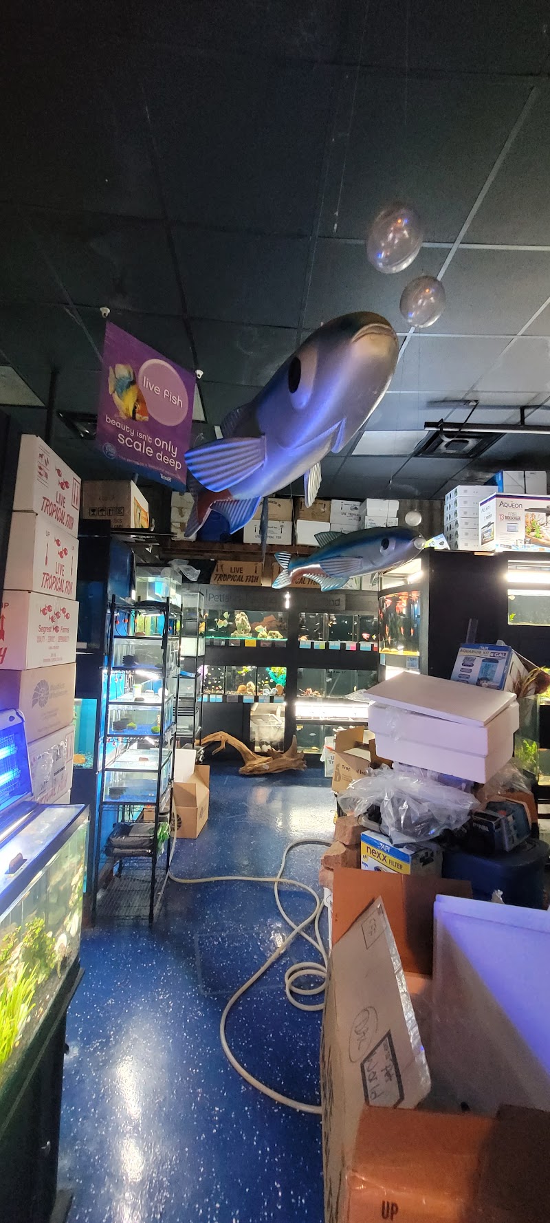 Petworld ~ The Aquatic Place - Photo 3