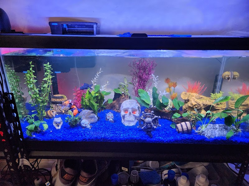 Petworld ~ The Aquatic Place - Photo 4