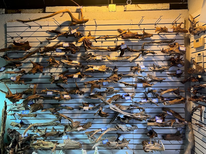 Petworld ~ The Aquatic Place - Photo 5