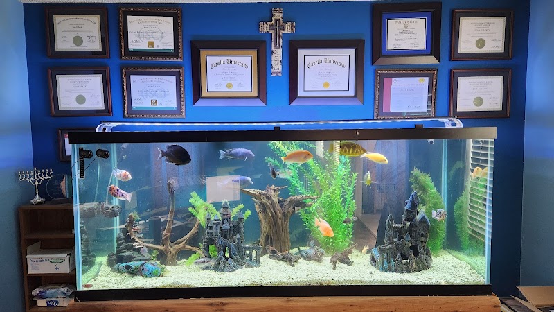 Aqualife Aquarium Systems - Photo 1