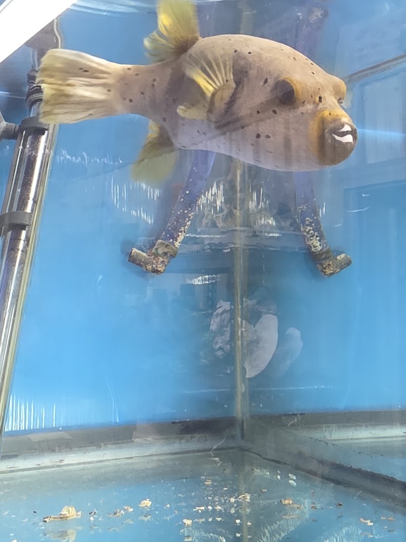 Aqualife Aquarium Systems - Photo 2