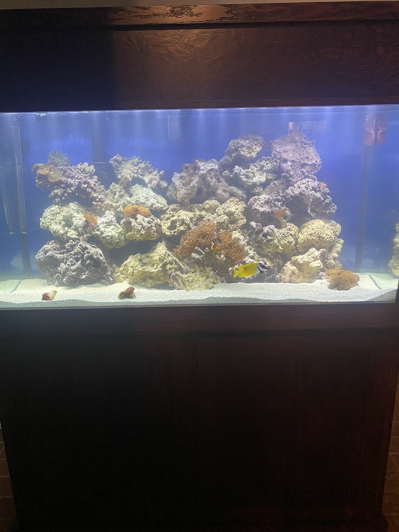 Aqualife Aquarium Systems - Photo 3