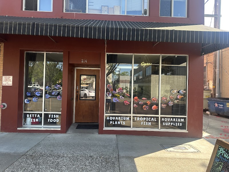 PNW Bettas - Photo 1