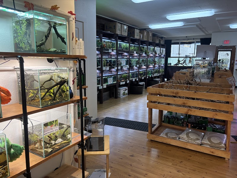 PNW Bettas - Photo 2