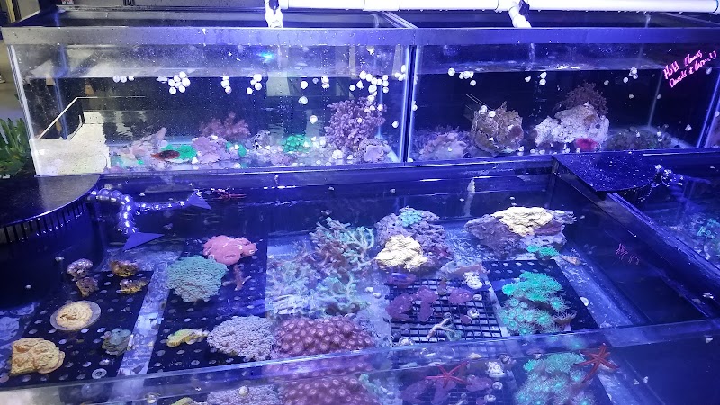 The Premium Aquarium - Photo 2