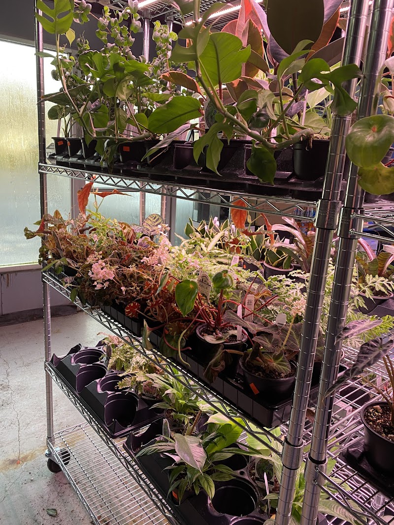 The Premium Aquarium - Photo 3