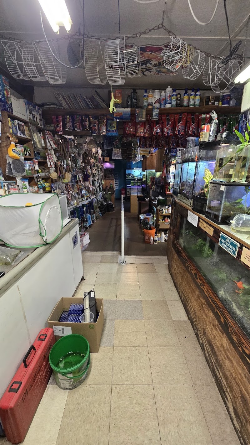 Animal House - Photo 1