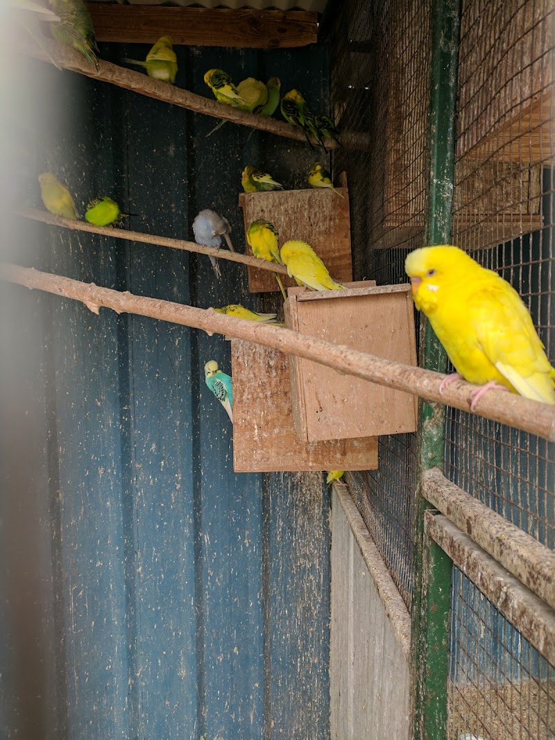 Animal House - Photo 2