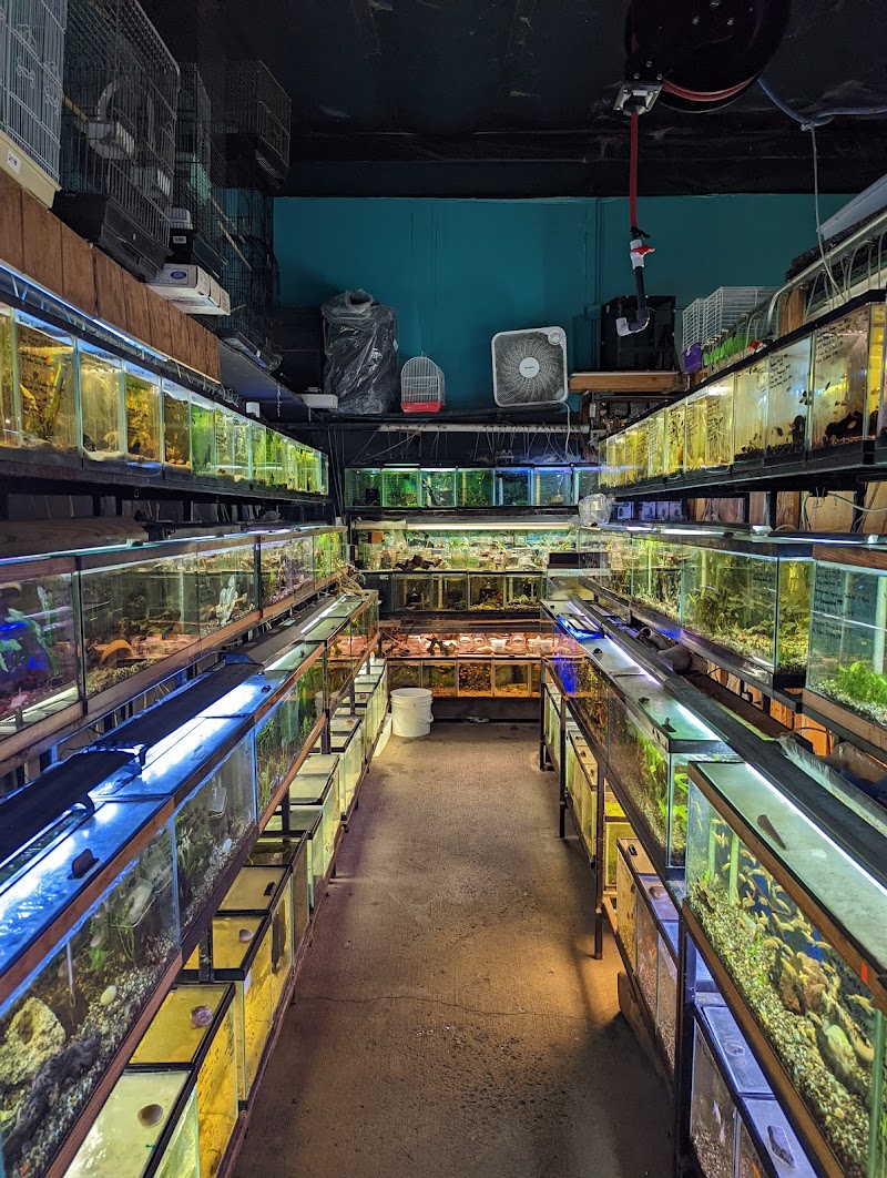 Animal House - Photo 4