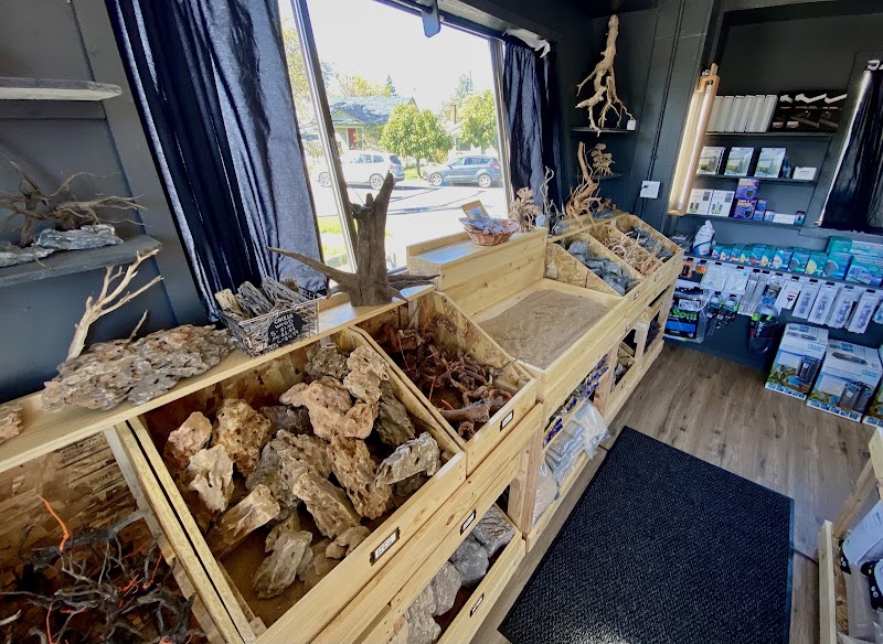 Pisces Aquaria - Photo 3