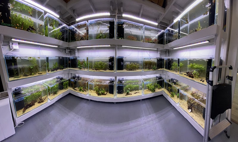 Pisces Aquaria - Photo 4