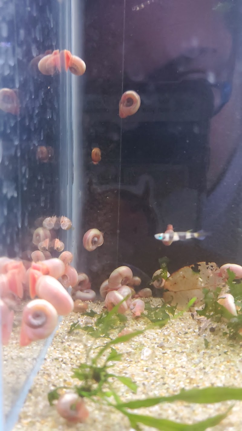 Pisces Aquaria - Photo 5