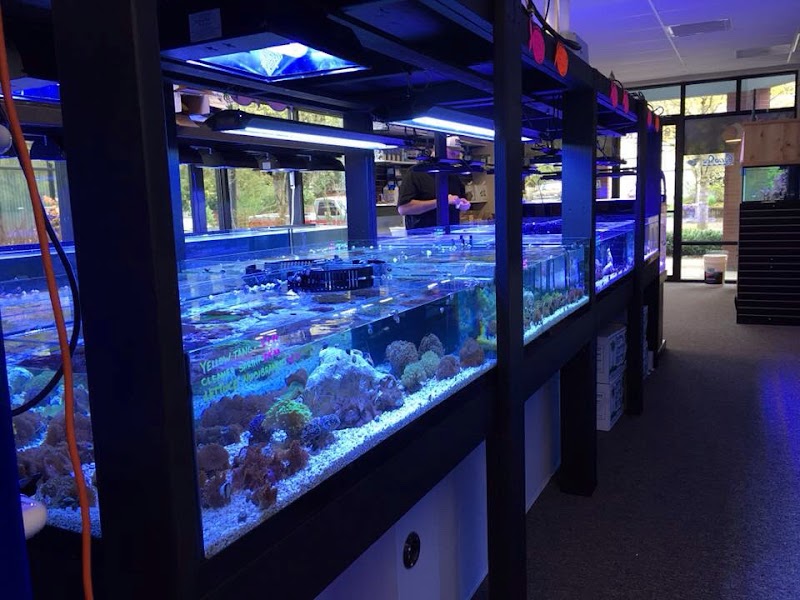 All Things Aquariums - Photo 1