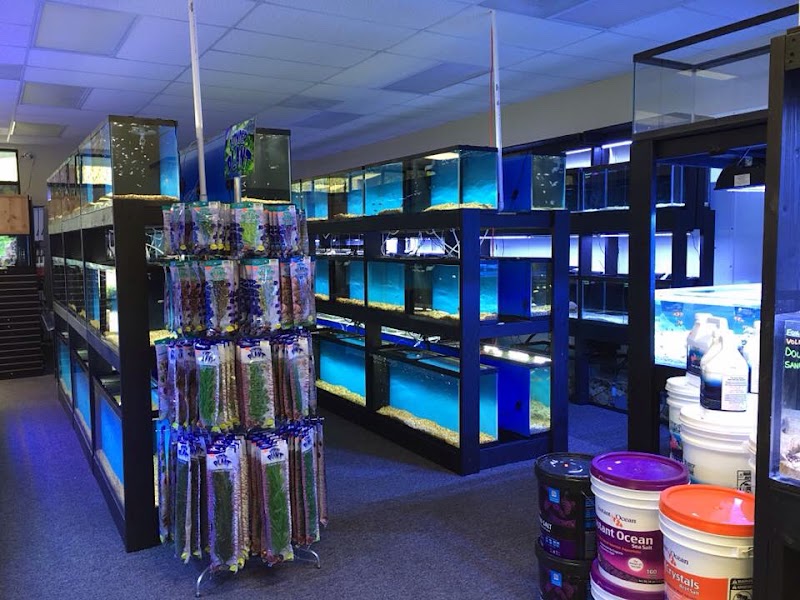 All Things Aquariums - Photo 3
