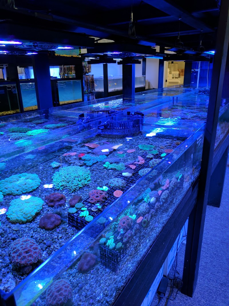 All Things Aquariums - Photo 4