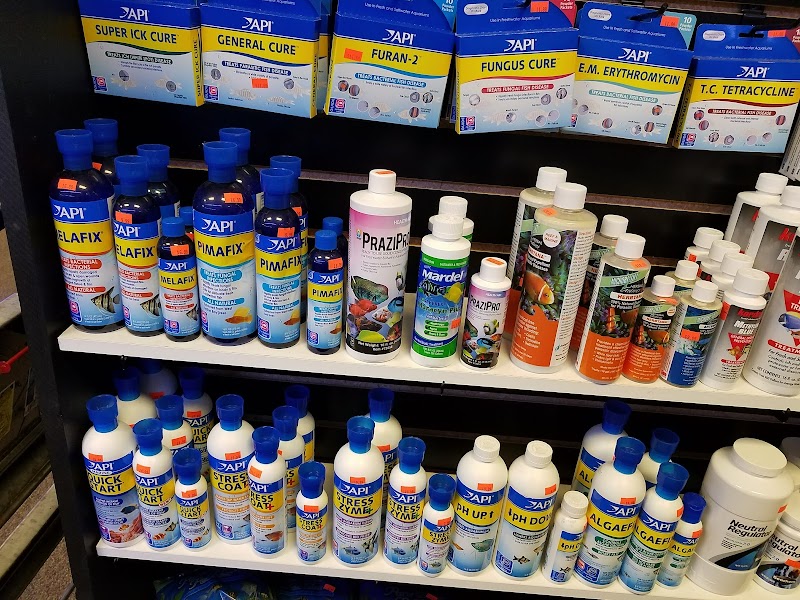 All Things Aquariums - Photo 5