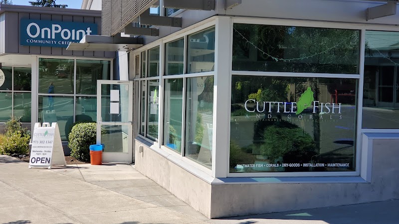 Cuttle Fish and Corals - Photo 1