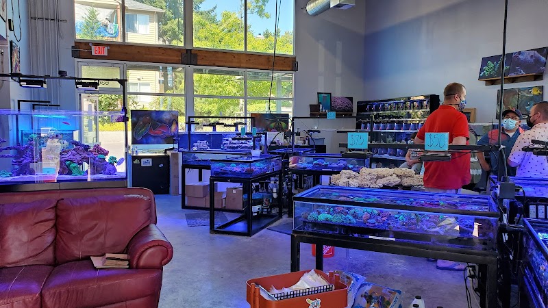 Cuttle Fish and Corals - Photo 2