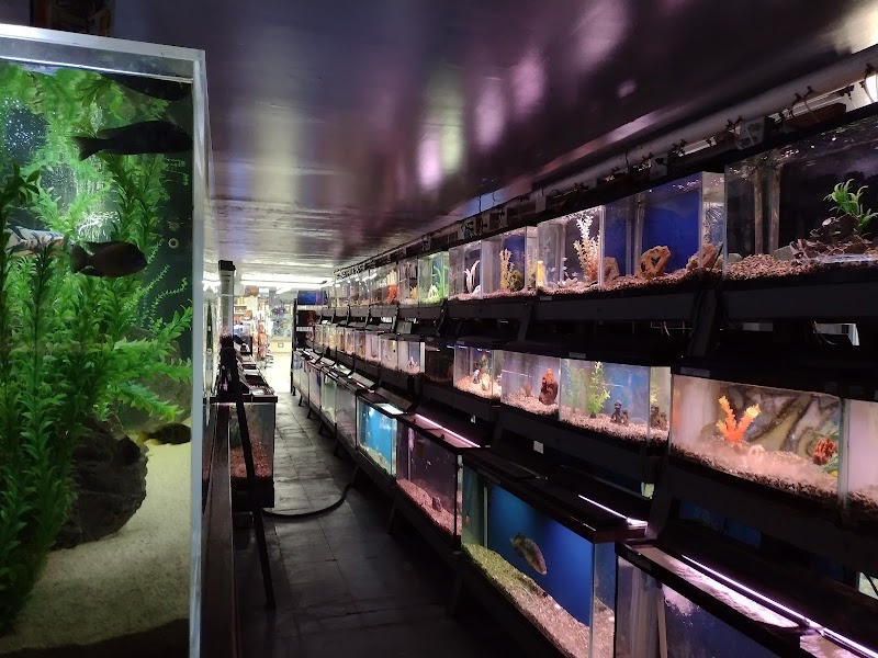 Caye's Aquarium - Photo 2