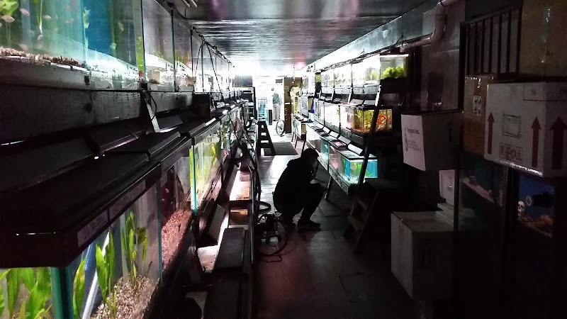 Caye's Aquarium - Photo 4