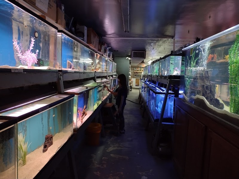 Caye's Aquarium - Photo 5