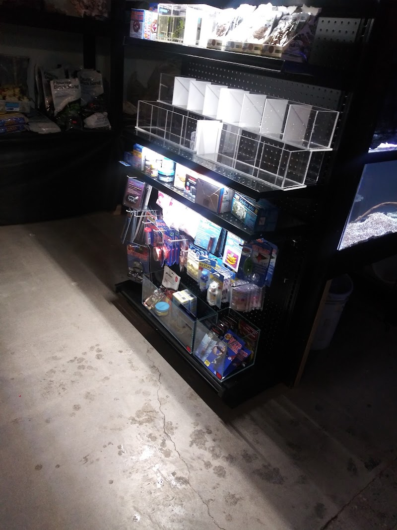 Aquatic Maintenance Store - Photo 5