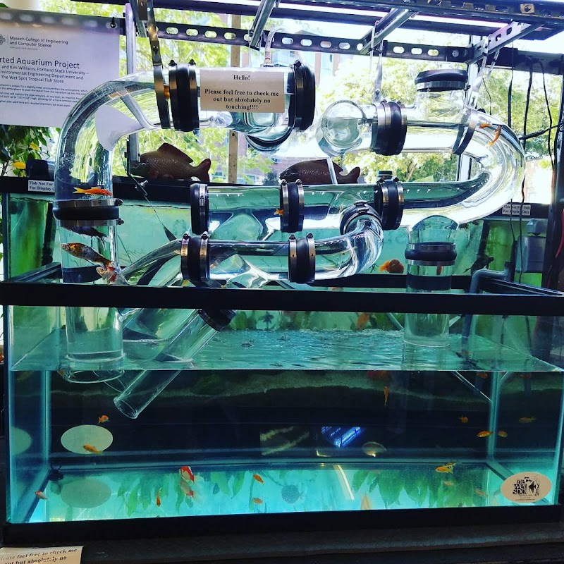 The Wet Spot Tropical Fish - Photo 4