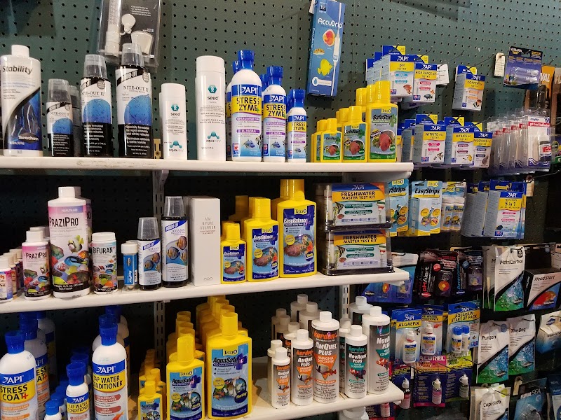 The Wet Spot Tropical Fish - Photo 5