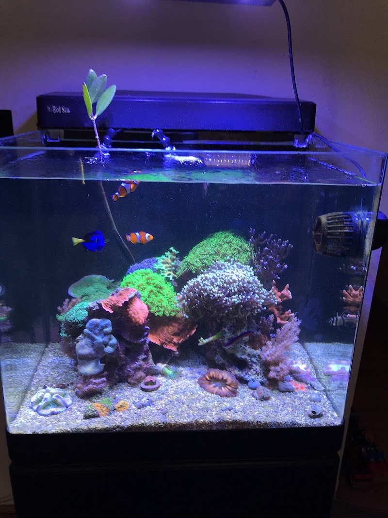 Upscales-Fish & Reptiles LLC - Photo 3