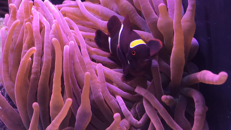 Aquatopia of Bend - Photo 2