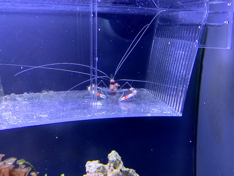 Aquatopia of Bend - Photo 3