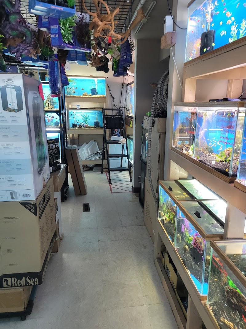 Aquatopia of Bend - Photo 4