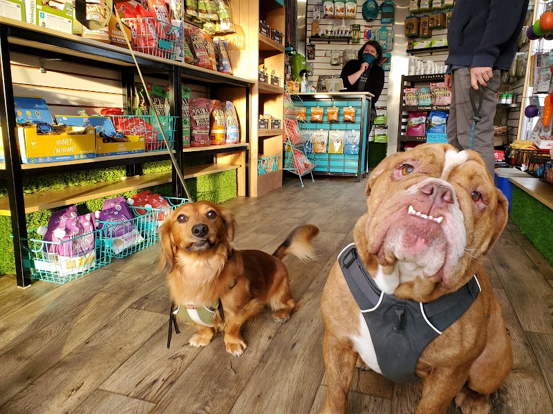 Local Paws - Photo 2