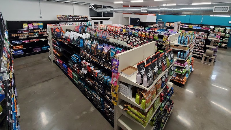 Local Paws - Photo 3