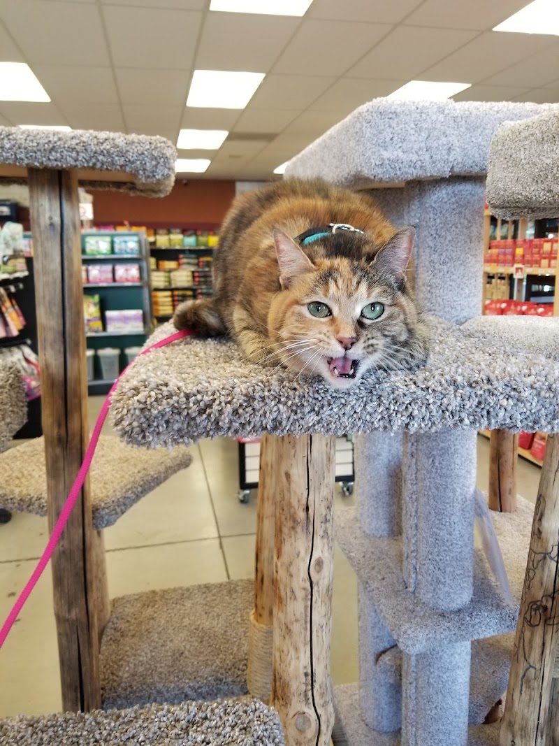 Bend Pet Express - Photo 5