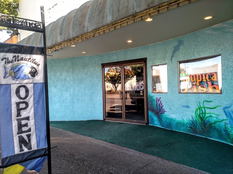 The Nautilus Tropical Fish - Photo 1