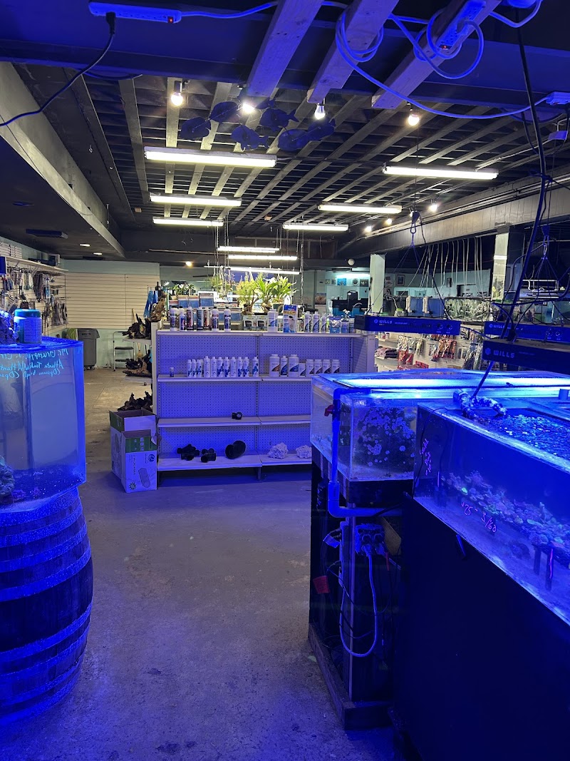 The Nautilus Tropical Fish - Photo 2