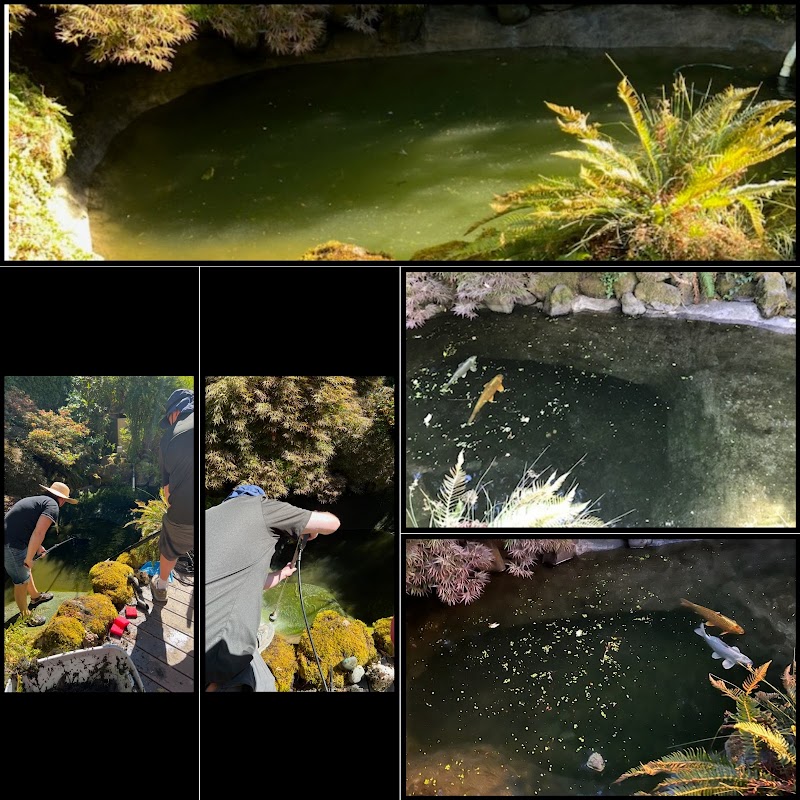 Connors Aquarium Cleaning LLC - Photo 4