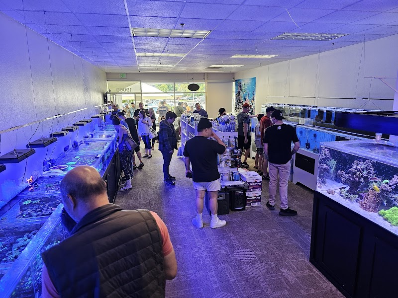 The Crimson Reef, LLC - Photo 4