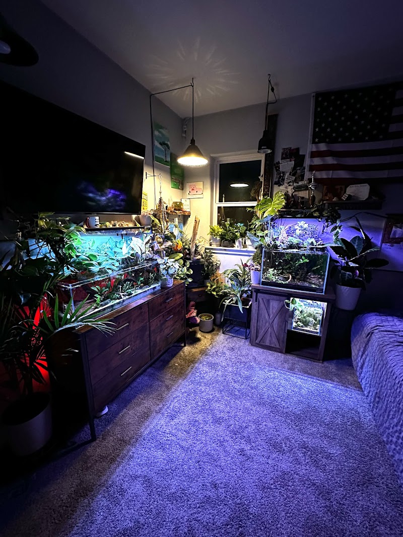 Darr's Aquatics - Photo 2