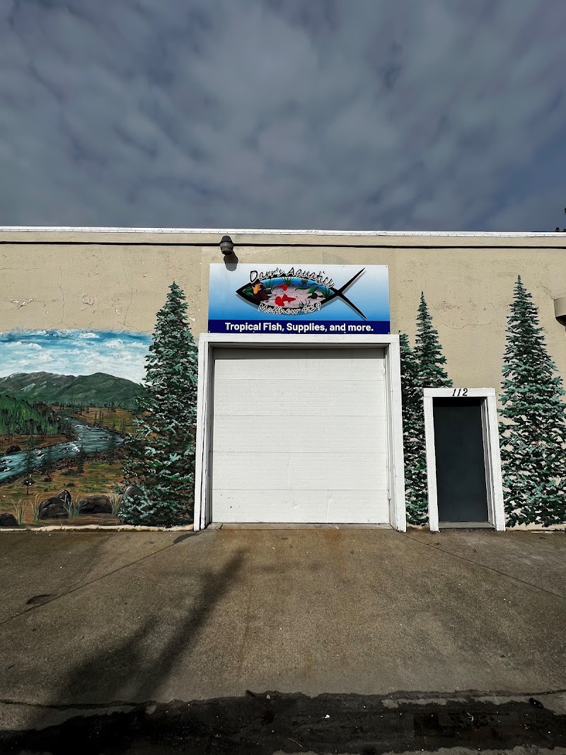 Darr's Aquatics - Photo 4