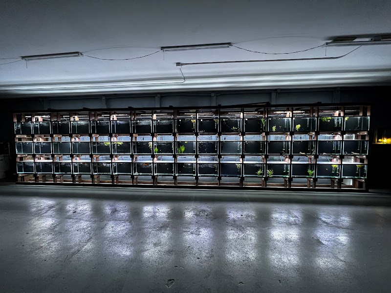 Darr's Aquatics - Photo 5