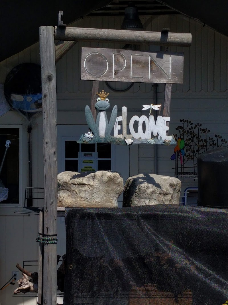 Frog Prince Aquatics - Photo 1