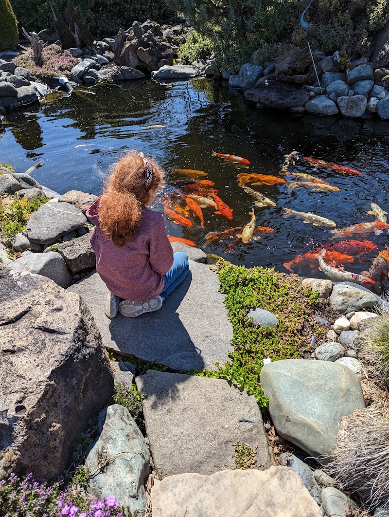 Frog Prince Aquatics - Photo 5