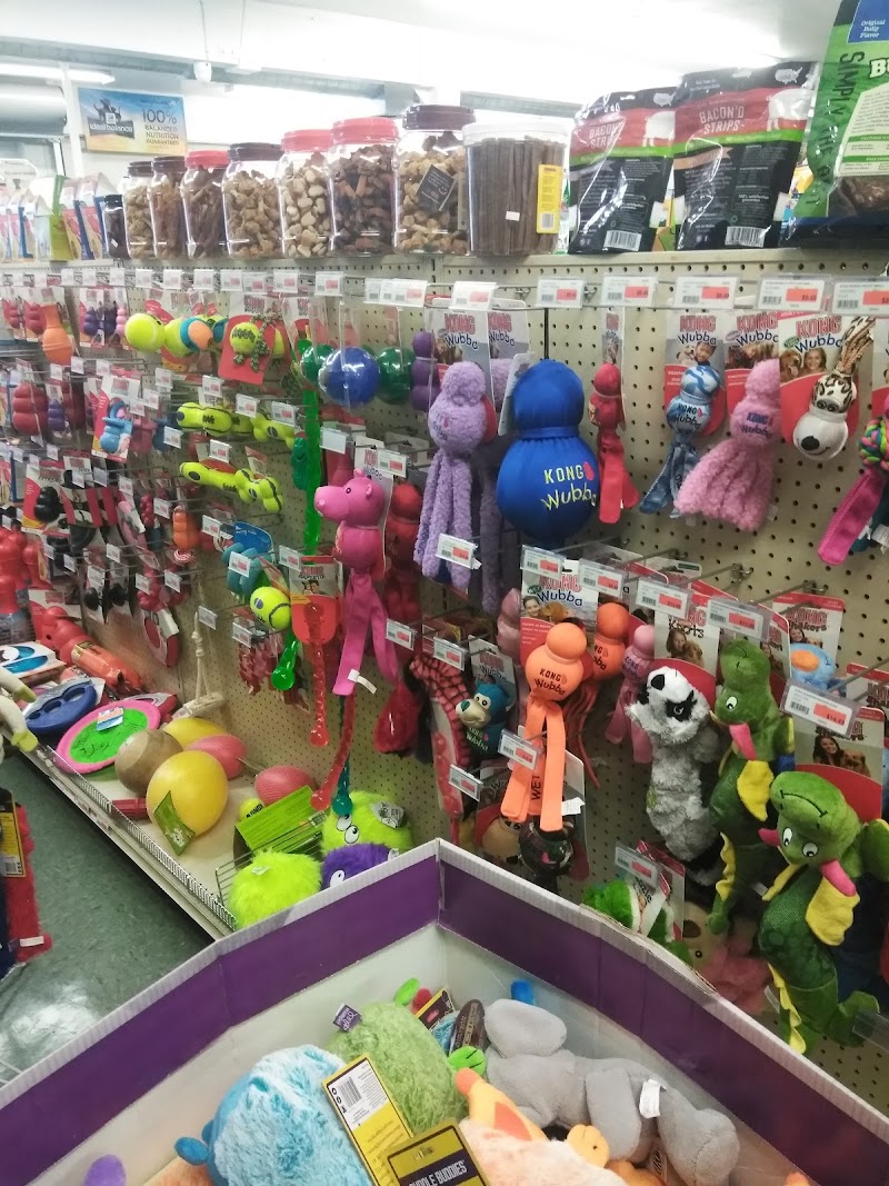 Mini Pet Mart - Photo 4