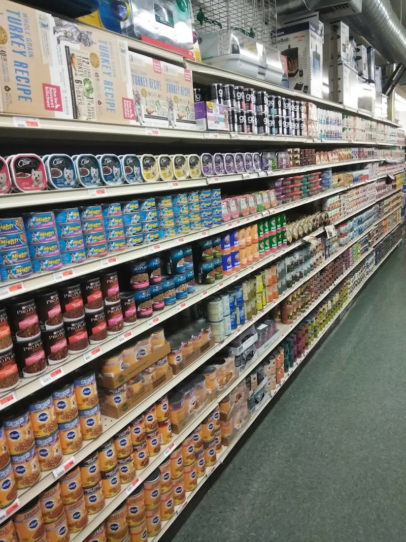 Mini Pet Mart - Photo 5